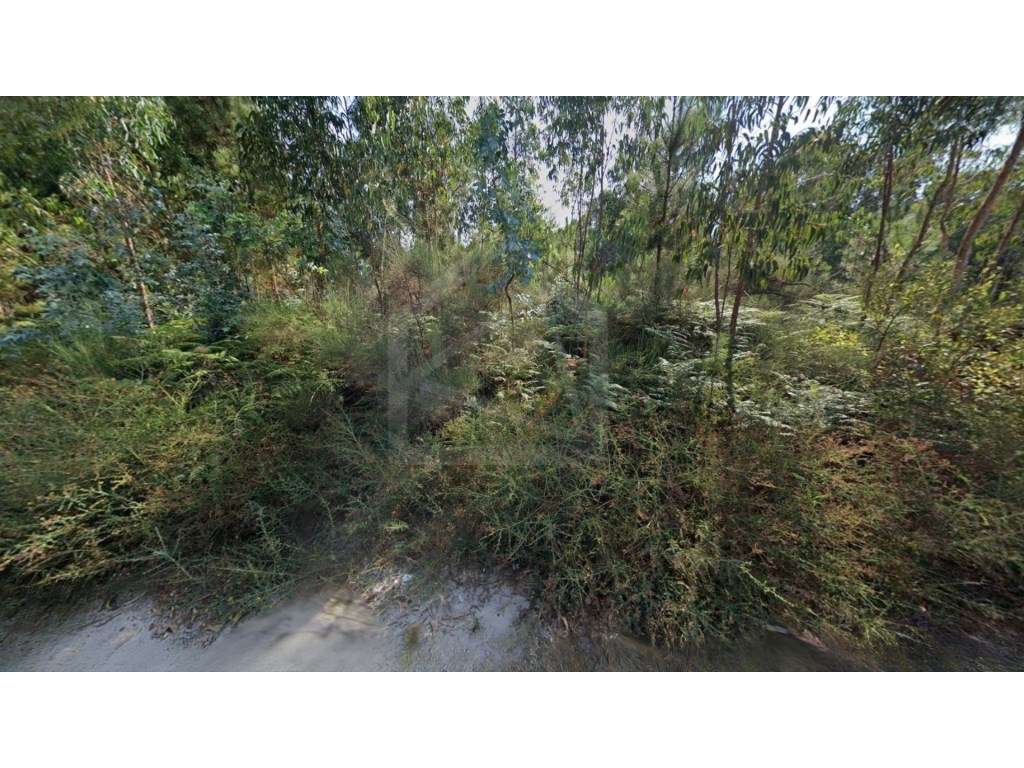 Terreno em Seroa - Grande imagem: 4/7