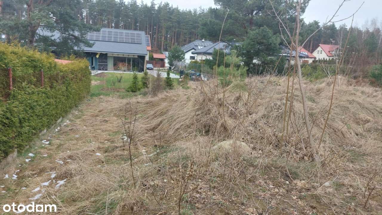 Gowino Zaciszne Zalesie w otulinie Trójmiejskiego Parku Krajobrazowego-1