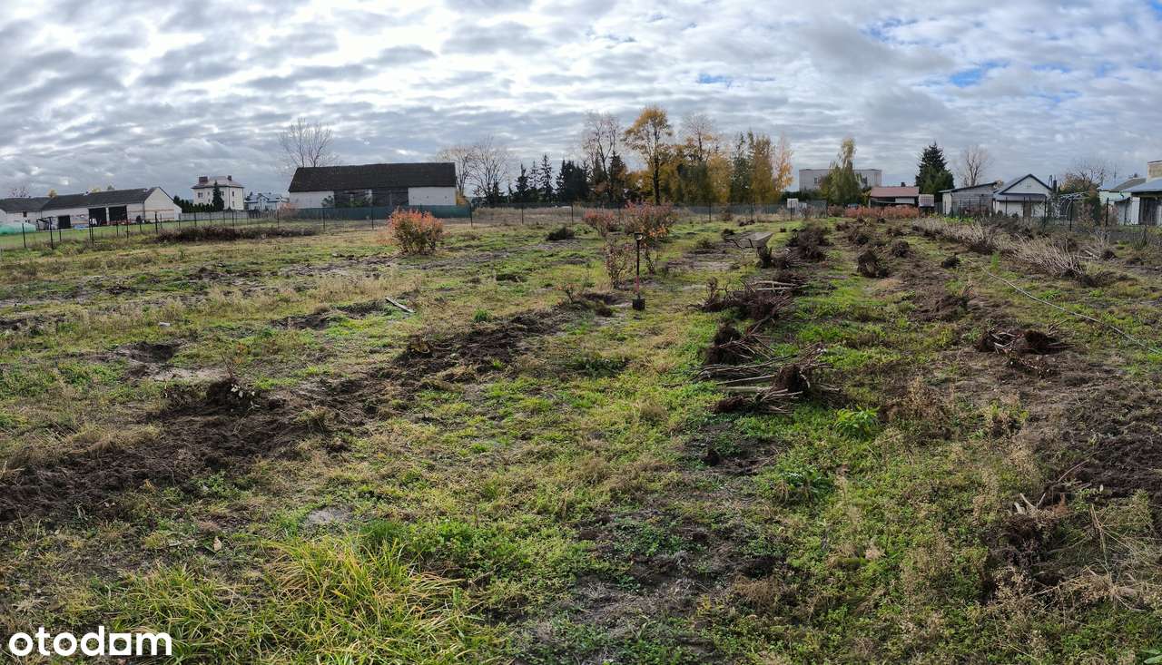 Sprzedam działkę budowlaną w Grubalach 8 km  od Siedlec ( REZERWACJA ) - Pełny obrazek: 4/10