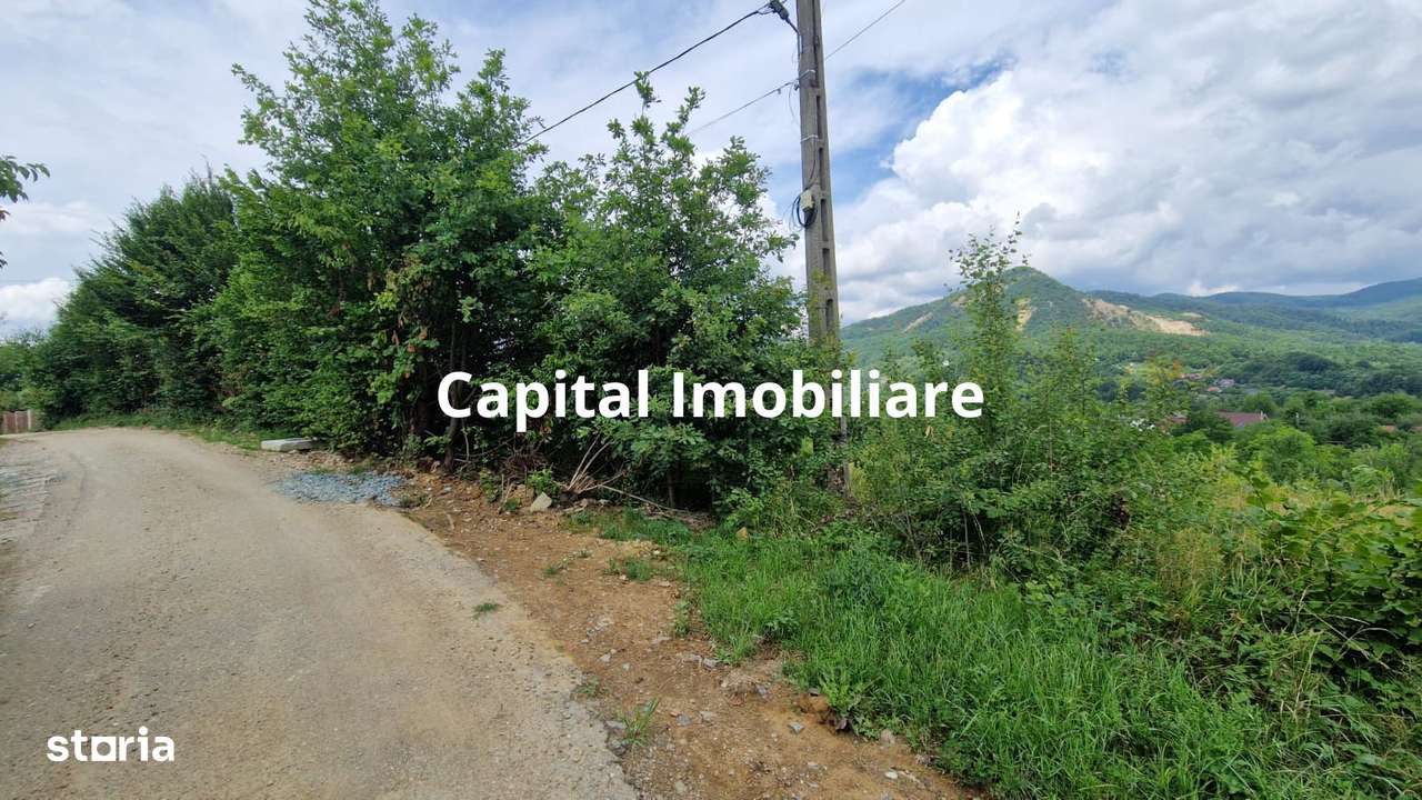 Teren de vanzare in Baia Sprie: 52 Ari, Parcelabil, Comision 0% - Imagine principală: 5/5
