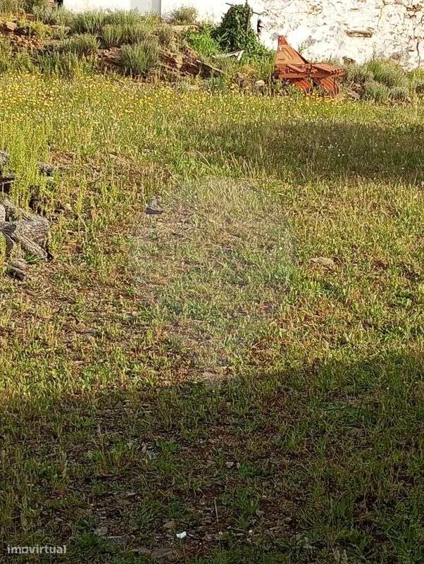 Moradia T2 para venda - Grande imagem: 3/3