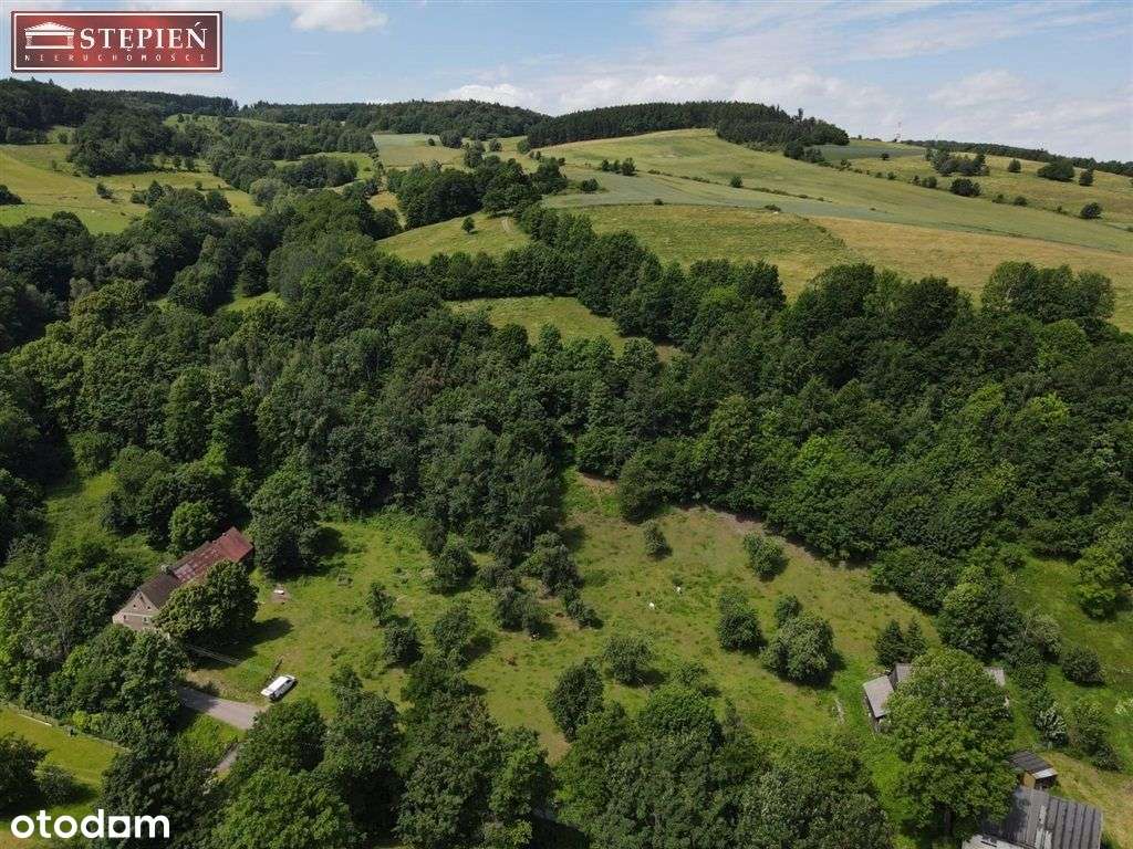 Działka rolno-budowlana - Pełny obrazek: 4/11