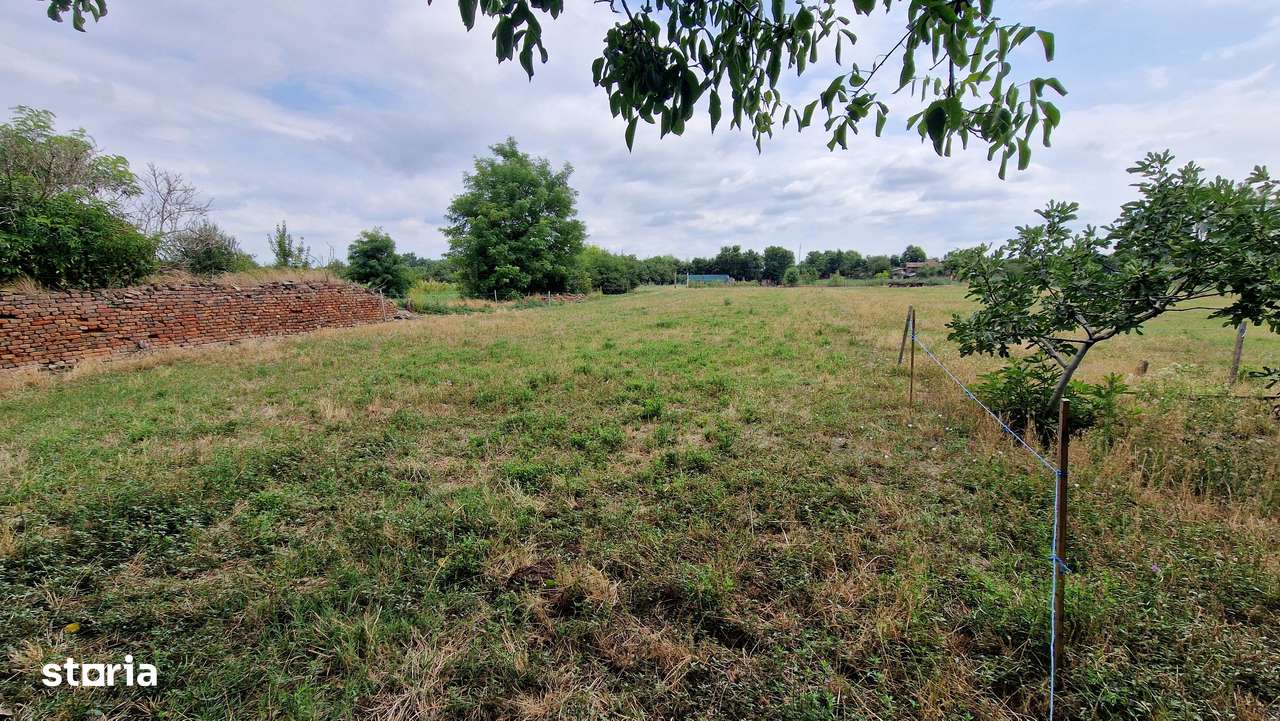 De vânzare – Casă boierească, Sat Giulvăz (jud. Timiș)-15