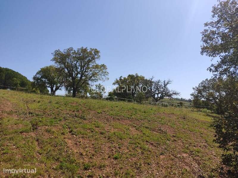 Terreno rústico com viabilidade de construção, Bensafrim, Lagos - Grande imagem: 4/7