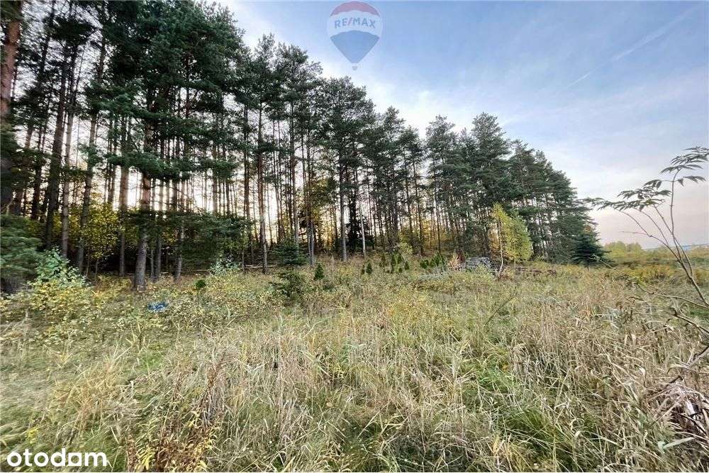 Działka Dorotowo z Wz - Pełny obrazek: 5/6