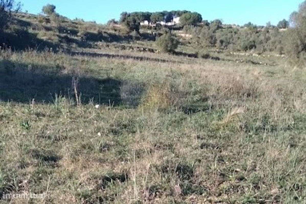 Terreno  para venda - Grande imagem: 5/13