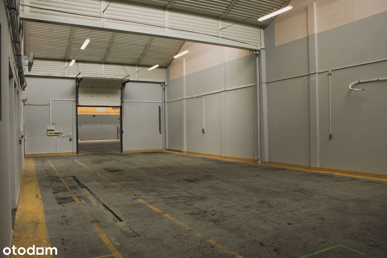 Magazyn wysokiego składowania 315 m2  Park Handlowy Warta przy Galerii - Pełny obrazek: 4/5