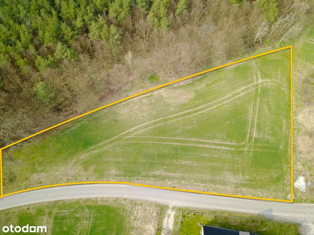 Chojnów, Okmiany, Okmiany - Pełny obrazek: 4/4