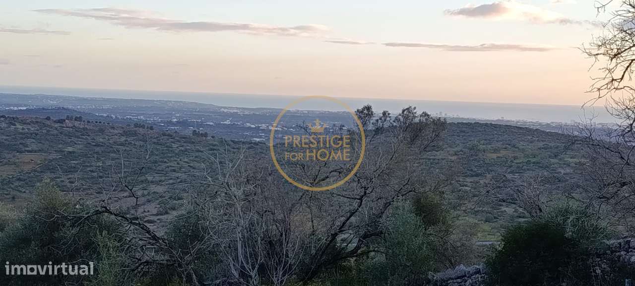Terreno com ruina e ampla vista aberta da Picota até ao mar-9