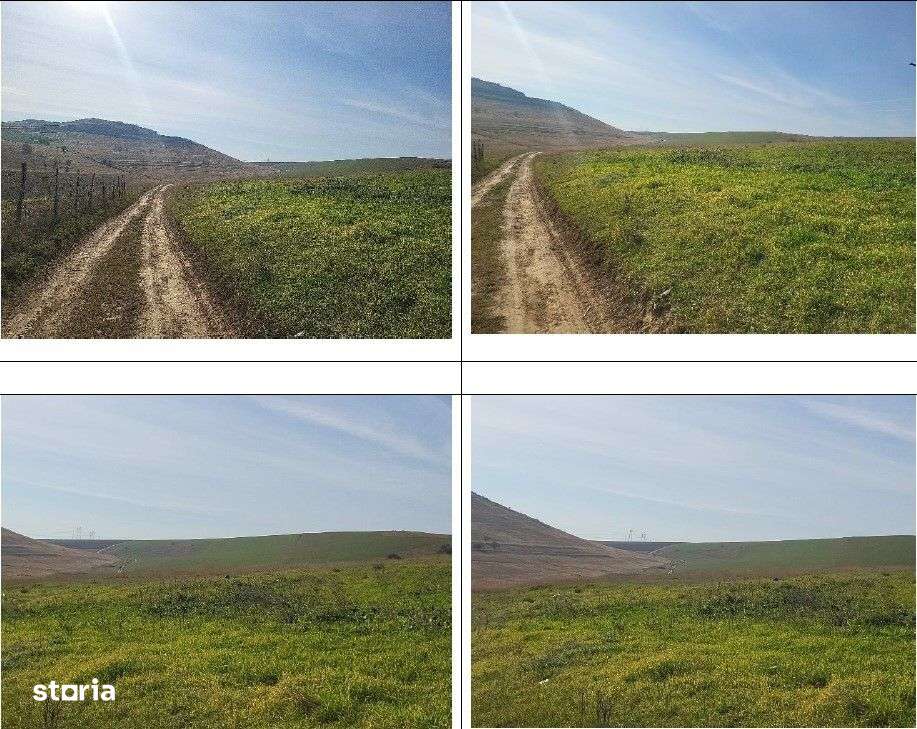 Teren extravilan sat Mineri, ID: R2376975 - Imagine principală: 4/5