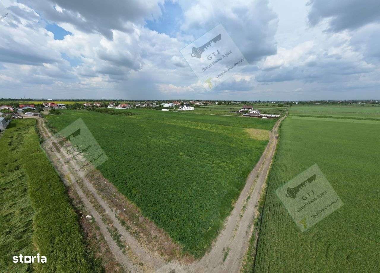 Teren extravilan Vanatori Acces Str Principala - Imagine principală: 5/9
