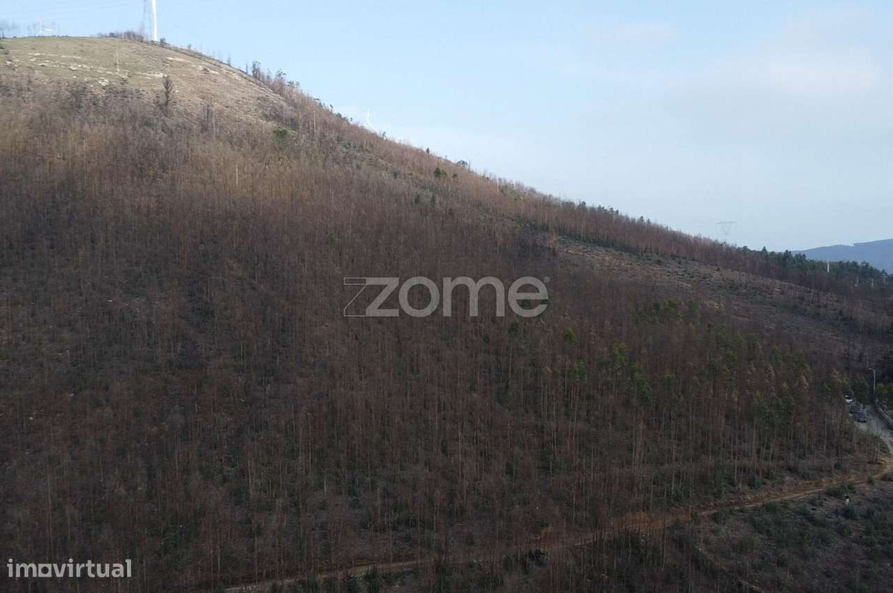 Terreno florestal urbanizável com 42.000 m2 - Melres, Gondomar - Grande imagem: 4/12
