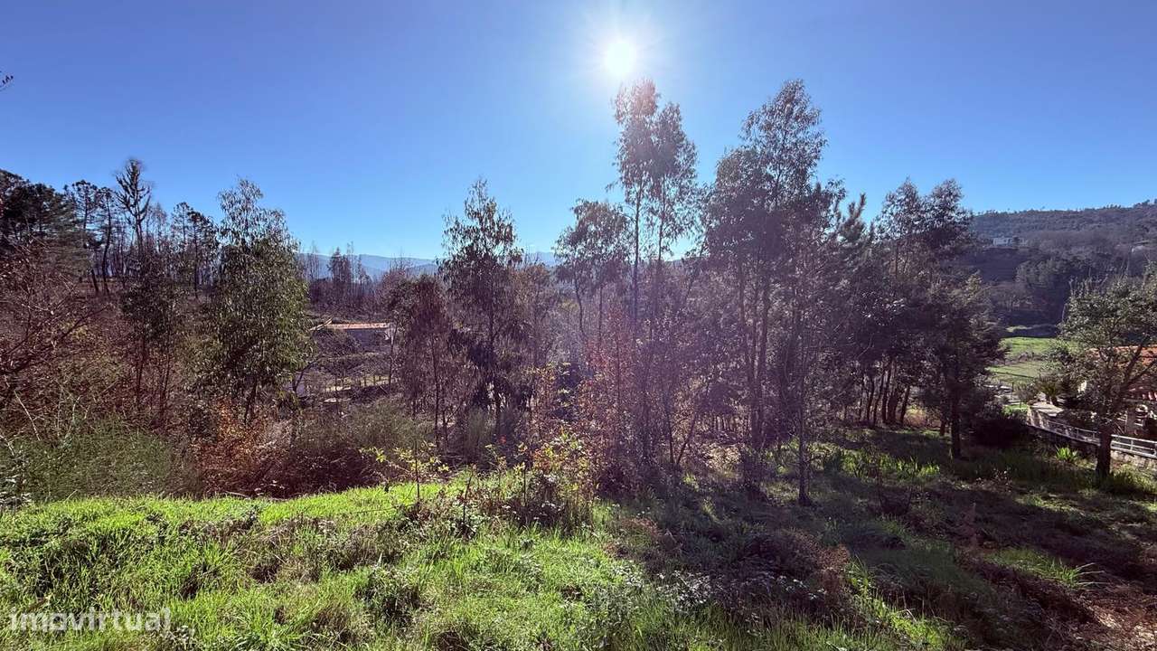 Terreno em Celorico de Basto - Grande imagem: 3/10