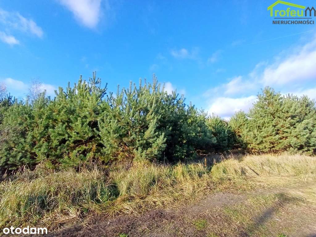 Działka o pow. 952m2, Parski - Pełny obrazek: 4/6