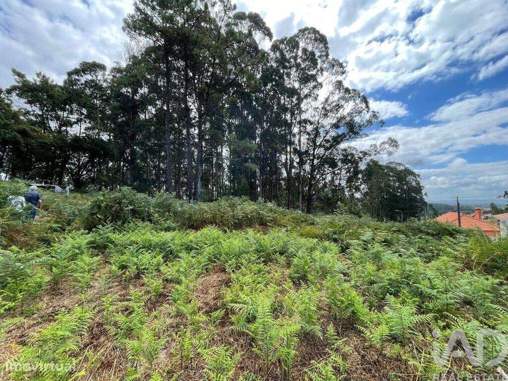 Terreno em Palmeira de Faro e Curvos de 10350,00 m2 - Grande imagem: 5/18