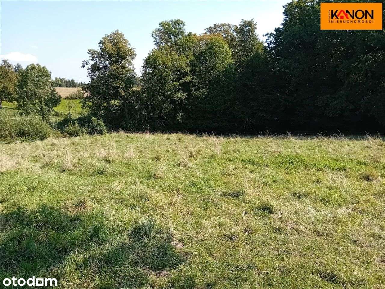 Działka, 3 700 m², Roztropice-12