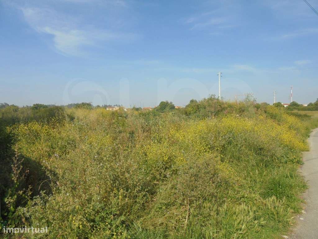 Terreno Rústico Aveiro - Grande imagem: 5/8