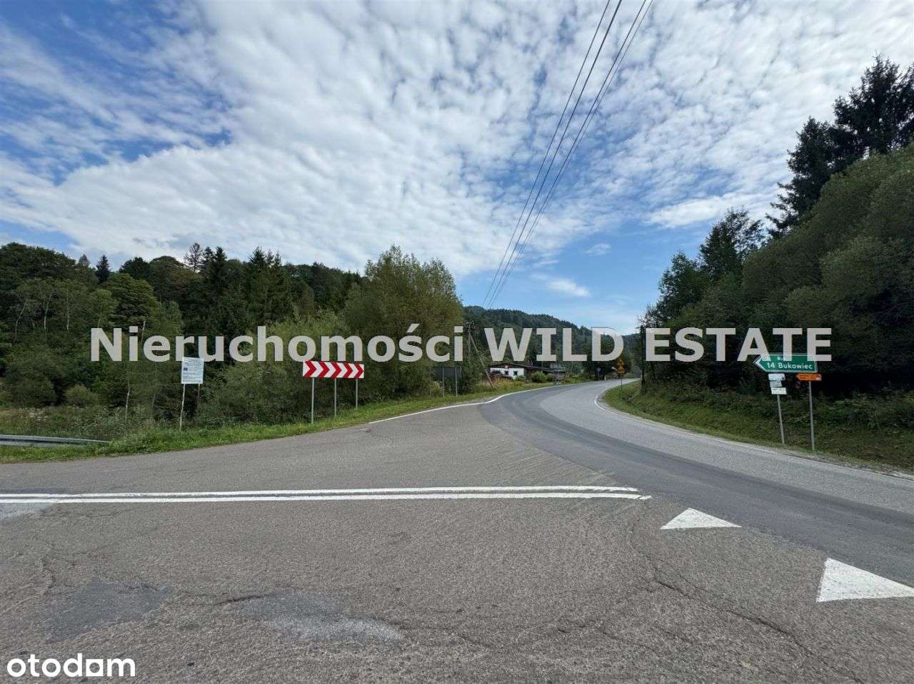 Działka, 5 172 m², Dołżyca - Pełny obrazek: 4/10