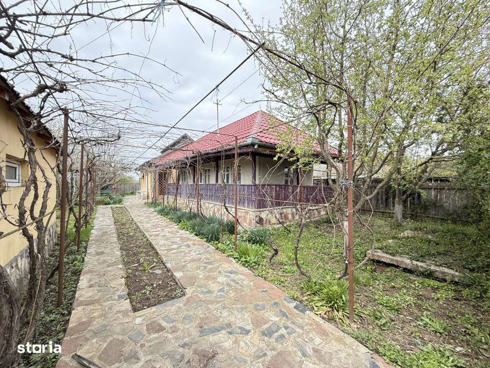 Casa cu livada Izvorani la 300m de Lacul Snagov asfalt si utilitati-8