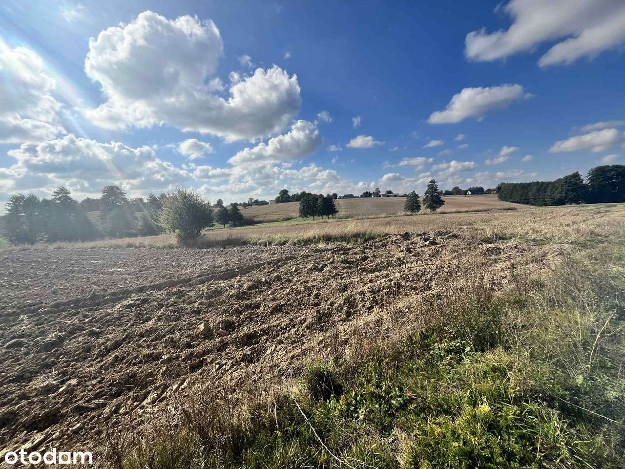 Działka rolna  – Panieńszczyzna, gm. Jastków- 12 850 m²-9