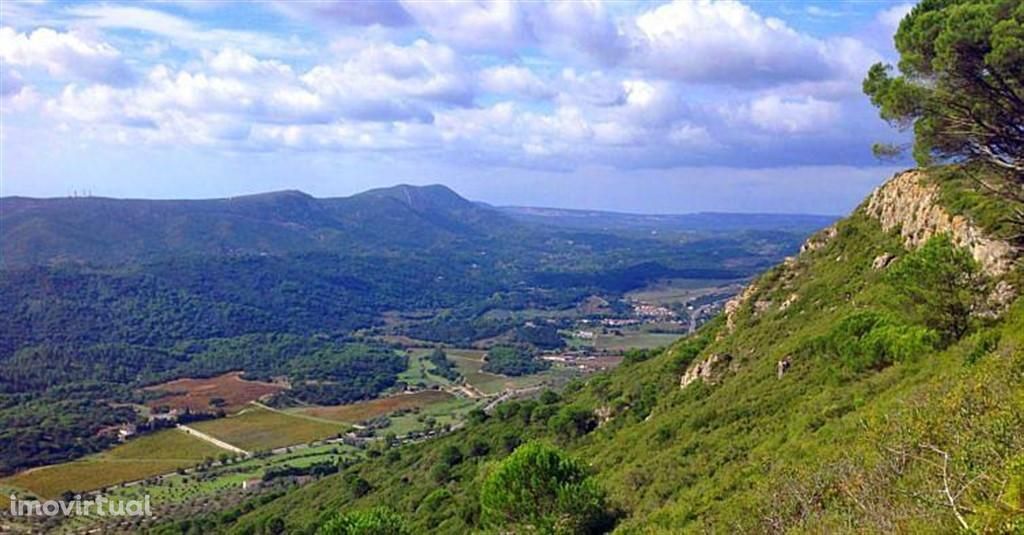 Parque Natural Arrábida Azeitão Terreno 5 Ha no cimo da serra .