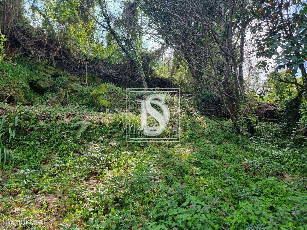 Moradia Isolada T3 em Parada do Bouro-16