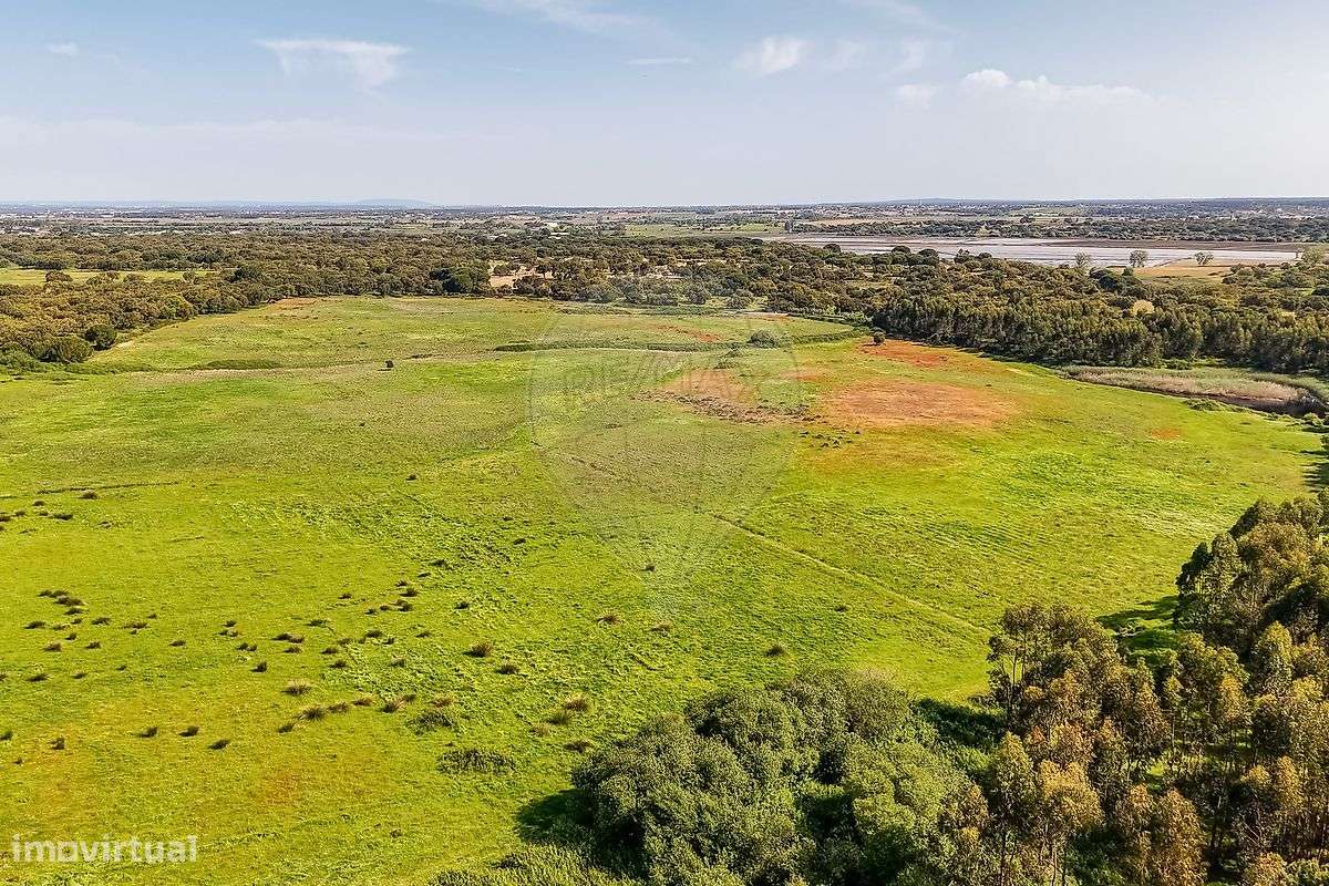 Industrial  para venda-5