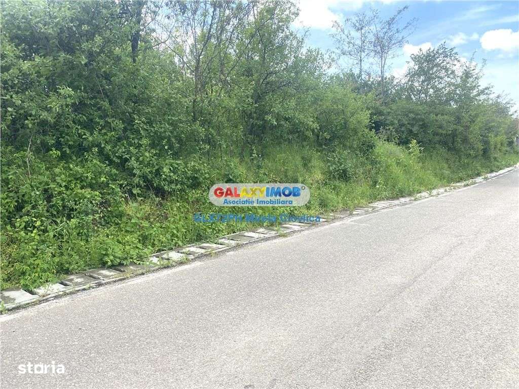 Vanzare teren intravilan Baicoi zona Tintea - Imagine principală: 3/6