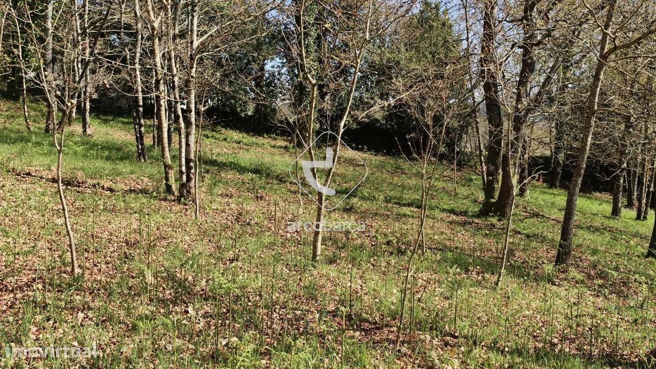 Terreno com  4042m2, viabilidade de construção, com PIP, Formariz - Pa - Grande imagem: 3/47