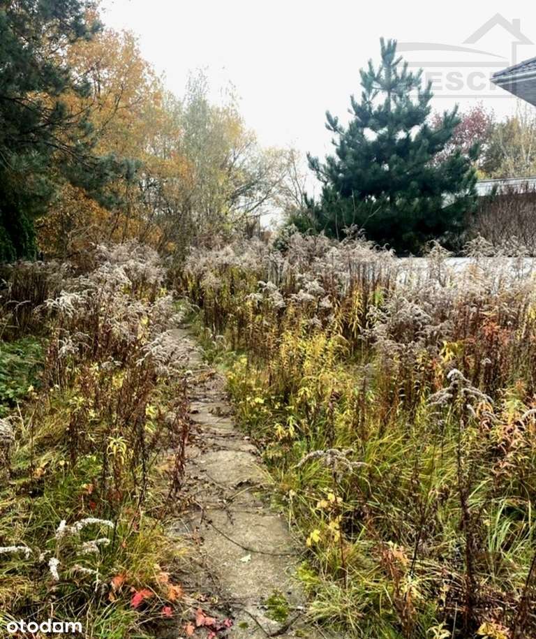 Atrakcyjna działka budowlana w Owczarni przy WKD-4