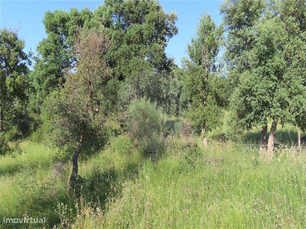 Quinta  para venda - Grande imagem: 4/13