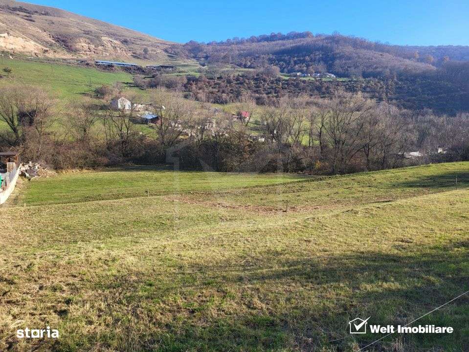 Teren intravilan constructii Tauti-0