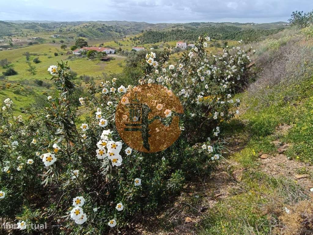TERRENO COM 26.120 M2 - POSSIBILIDADE DE CONSTRUIR UM ARMAZÉM - RIO... - Grande imagem: 4/31