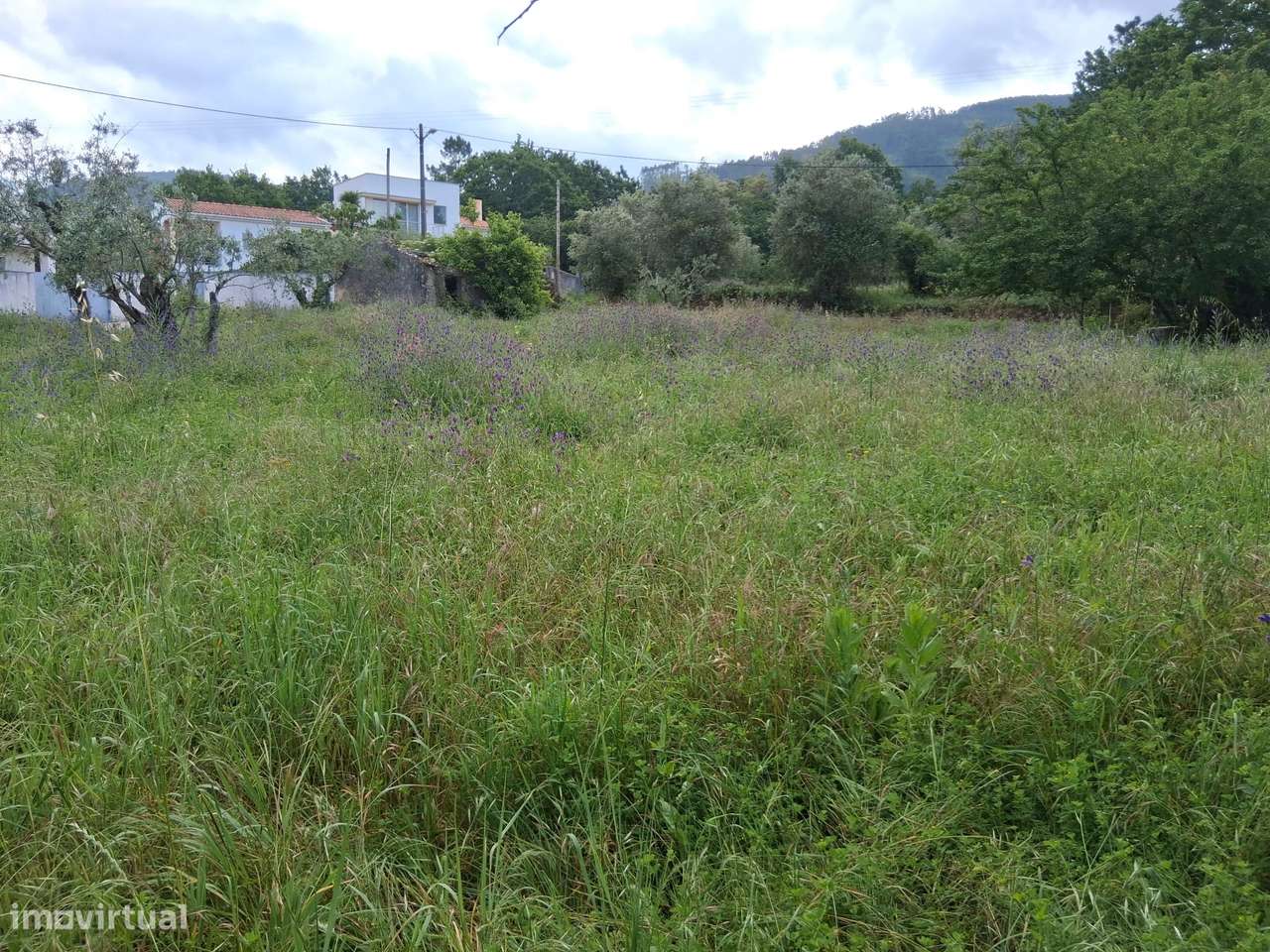 Moradia para Restaurar com Terreno Urbano – Cadaixo, Miranda do Corvo-32