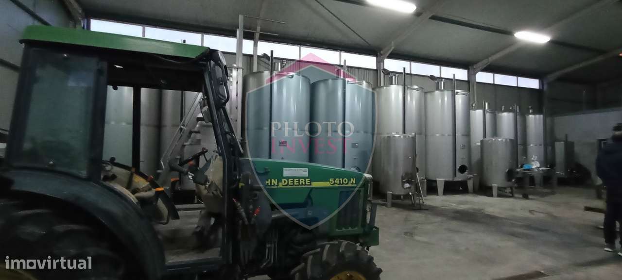 Quinta  Venda em Sezures,Penalva do Castelo-14