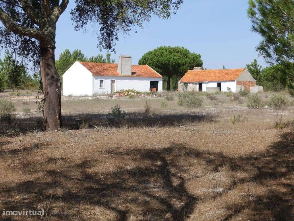 Terreno com 25 hectares em Grândola - Grande imagem: 2/19