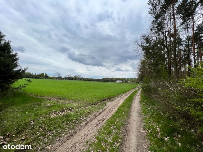 Wynajmę działki w kompleksie "Leśna Sielanka"