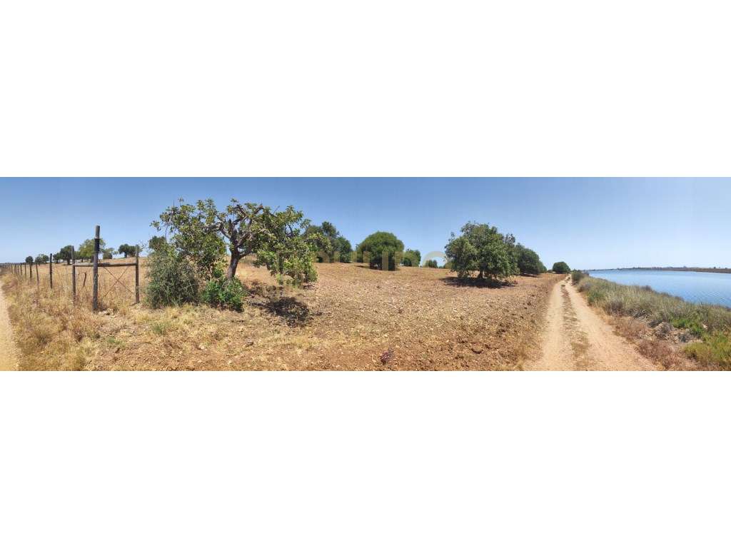 Quinta em Castro Marim a 5km da praia-29