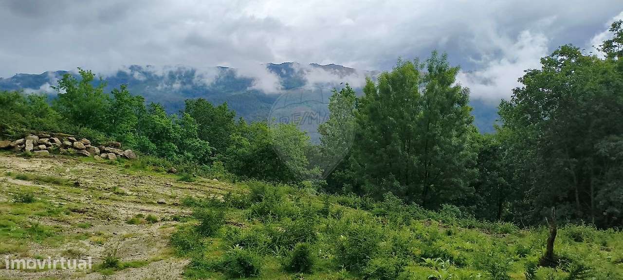 Terreno  para venda-5