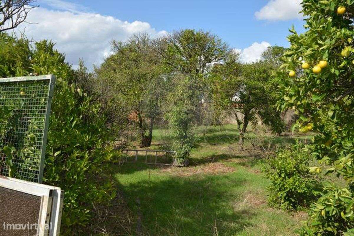 Terreno  para venda - Grande imagem: 3/17