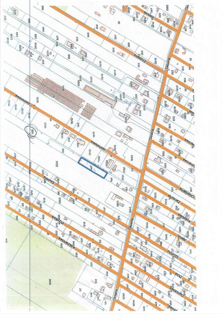 Piękna zadrzewiona działka w Zofiówce / koło Tuszyna - Pełny obrazek: 5/6