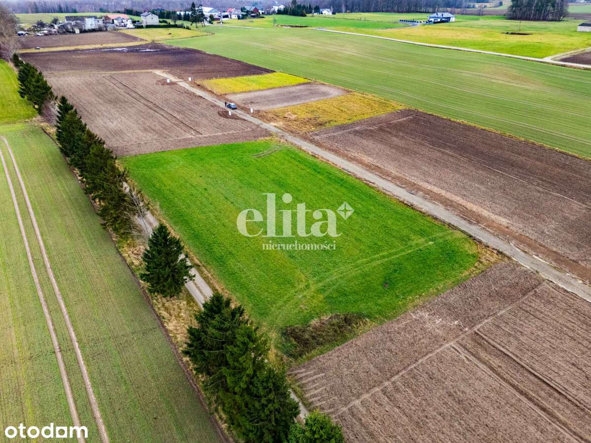 3 dzialki budowlane | 1020, 1020, 1022 m² | Warzno - Pełny obrazek: 5/9