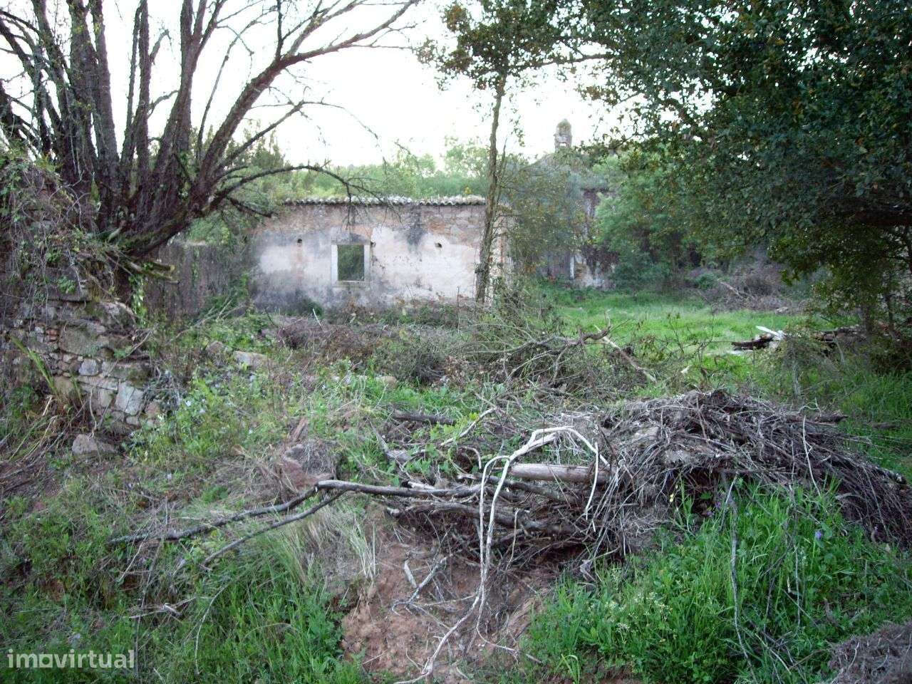 Quinta do Conventinho - Óbidos-11