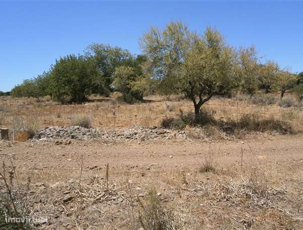 Terreno 5160,00 m2 - Grande imagem: 5/6