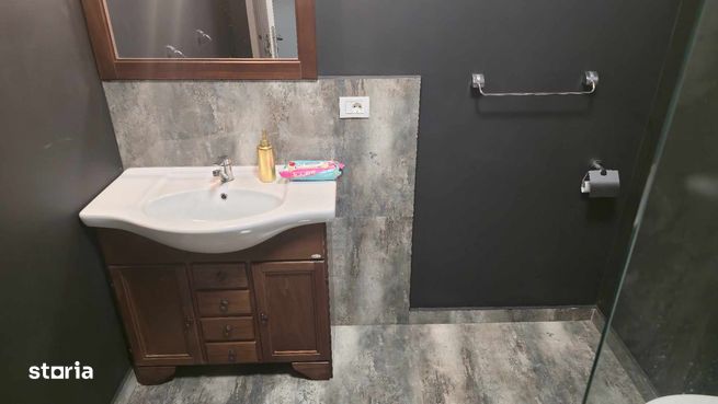 Apartament tip studio de vanzare, Baile Felix-9
