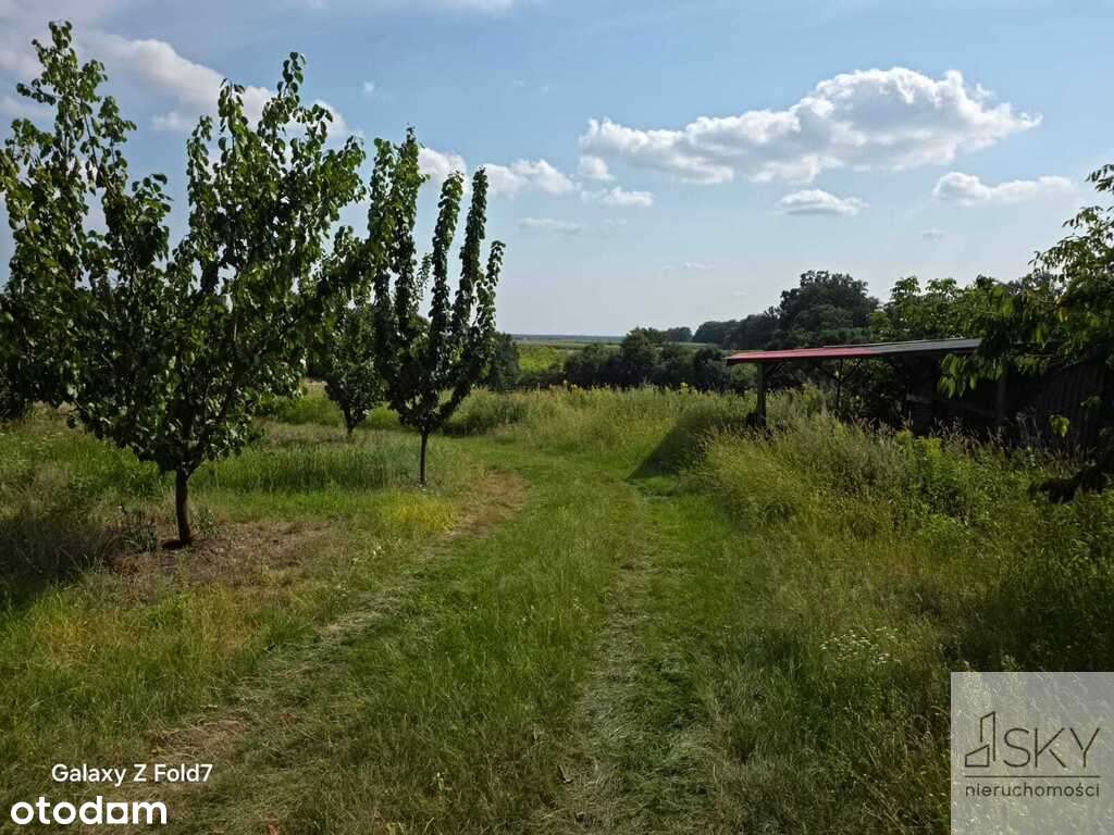 Działka siedliskowa 4344 m2, wydane WZ - Brochocin - Pełny obrazek: 4/13