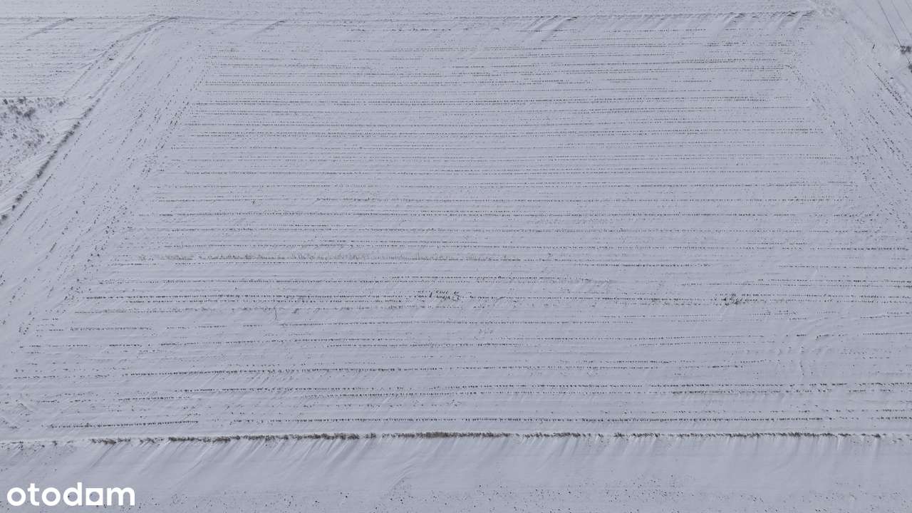 Działka budowlano-rolna 10 541 m² | Agroturystyka | Goczałkowice-Zdrój-4