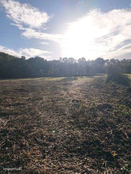 Terreno com 21500 m2 para alugar - Grande imagem: 5/5