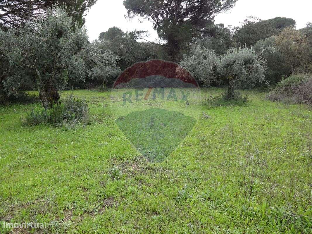 Terreno  para venda - Grande imagem: 3/15