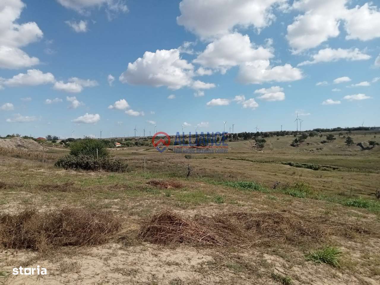 Teren intravilan 4.000 mp - Gradina, jud. Constanta-1